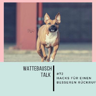 #72 WBY: Hacks für einen besseren Rückruf