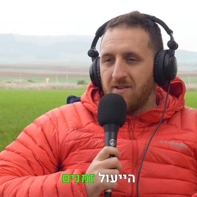 על השינויים הדרמטיים בעבודת יוצרי התוכן בעידן הבינה המלאכותית