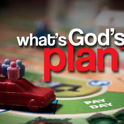 What's God's Plan? -- Surrender What's God's Plan? -- Surrender