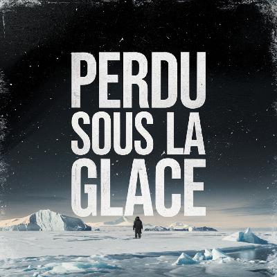 La Découverte Incroyable d’un Trésor Gelé !