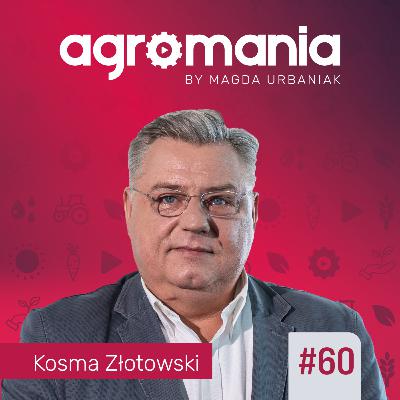 #60 - Polski transport: Potencjał, który leży odłogiem?