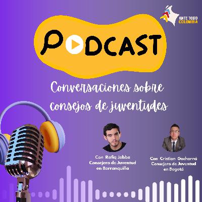 La verdad de los Consejos de Juventudes
