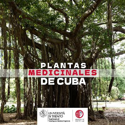 Plantas Medicinales De Cuba