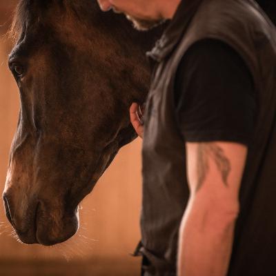 Angsterkrankungen in der Ergotherapie mit Pferd