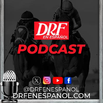 ROD - Tampa Bay Downs - Abril 5