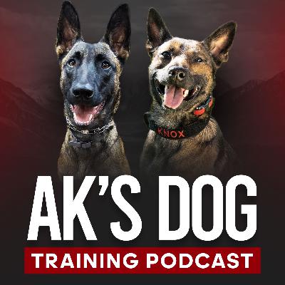 Mastering the Puppy Stage: From 8 Weeks to 4 Months