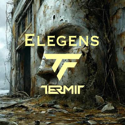 Dj Termit - Elegens (Organic mix)