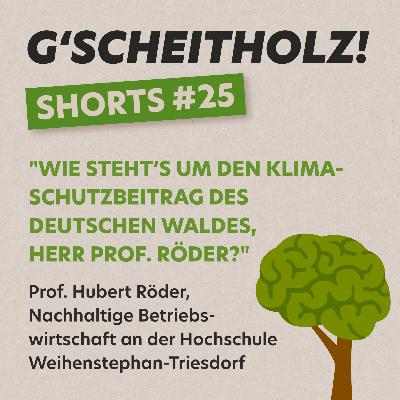 G'SCHEITHOLZ! SHORTS #25 - Wie steht’s um den Klimaschutzbeitrag des deutschen Waldes, Herr Prof. Röder?
