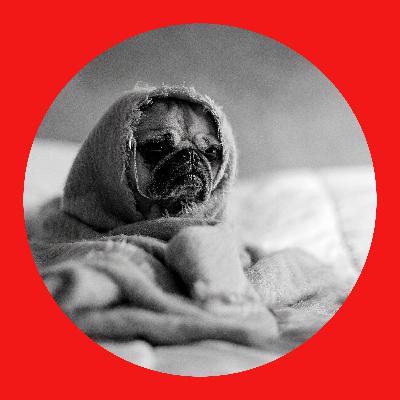 52: Don't be a Bully