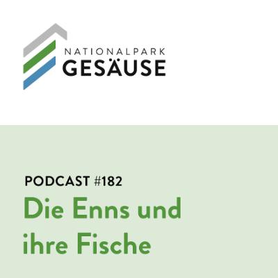 Podcast #182 Fische der Enns