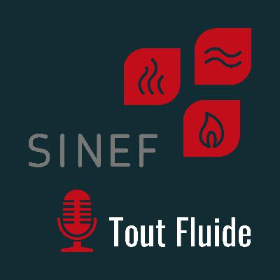 Episode 3 - L'apprentissage chez SINEF
