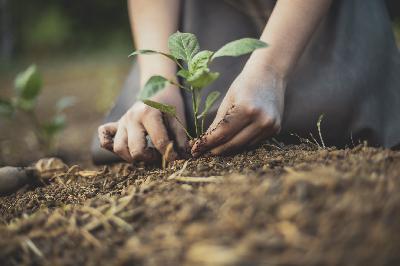 The science and spirituality of soil
