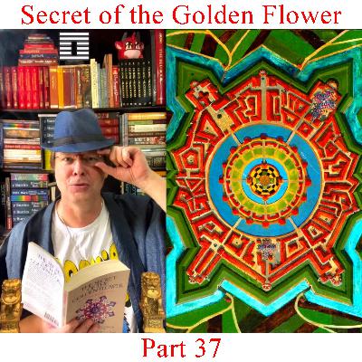 The Secret of the Golden Flower - Part 37