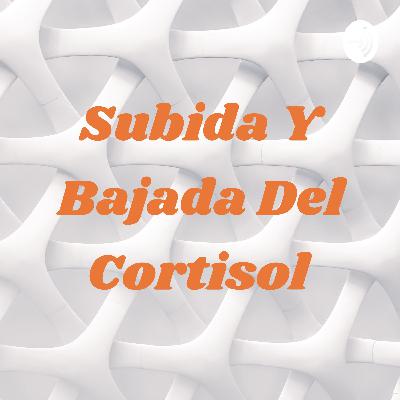 Anatomía de la piel