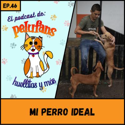 E46| Mi perro ideal ft. Chat GPT| El podcast de Pelufans, Huellitas y Más