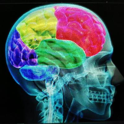 La importancia del desarrollo de procesos y habilidades cognitivas en los universitarios en México La importancia del desarrollo de procesos y habilidades cognitivas en los universitarios en México