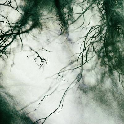 Basswald #30: Femmes Fractales Basswald #30: Femmes Fractales