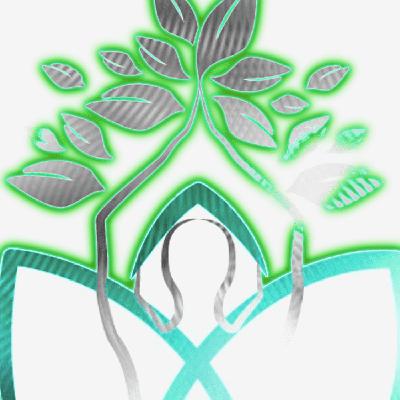 Free Reiki 1 Course Part 3a - Before I Attune You to Reiki 1