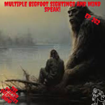 Multiple Bigfoot Sightings and Mindspeak! EP. 262 Multiple Bigfoot Sightings and Mindspeak! EP. 262