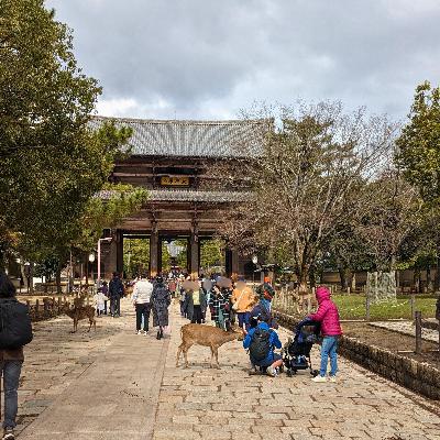 #60 奈良派の私たち（なぜ奈良はいいのか？）