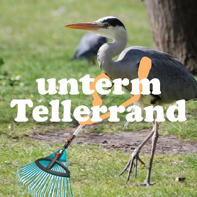 #55 – Sketche, Kinderbücher, Schulfächer und moderne Fabeltiere