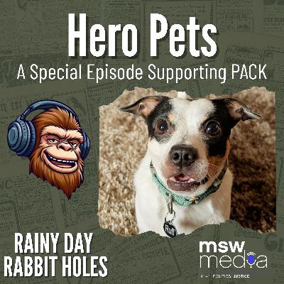 Hero Pets: When Animals Save the Day Hero Pets: When Animals Save the Day