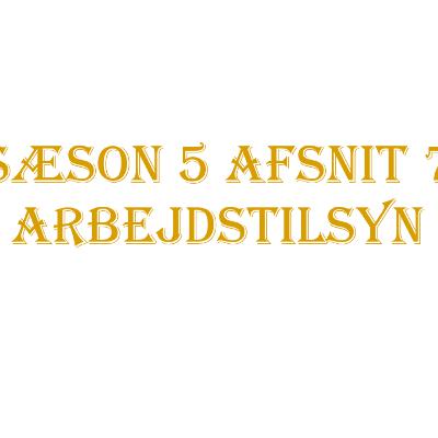 Sæson 5 | Afsnit 7 | Arbejdstilsyn