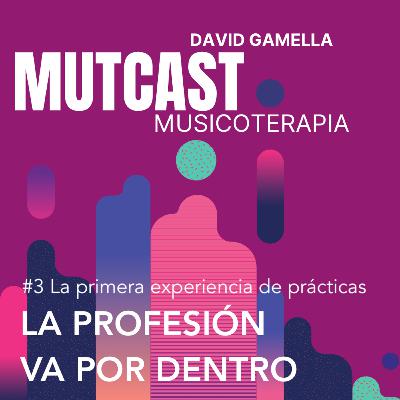 SERIE PROFESIONAL #3. Prácticas en musicoterapia: primeros pasos