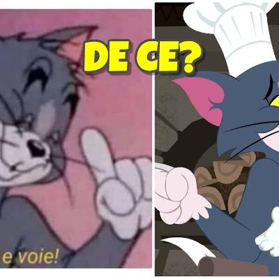 Ce a Distrus Tom si Jerry? Ce a Distrus Tom si Jerry?