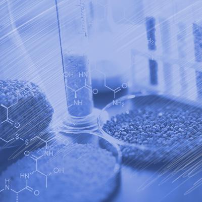 Alimentación Complementaria: Evidencia reciente sobre CEREALES INFANTILES