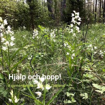 Hjälp och hopp!
