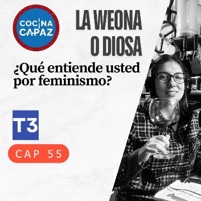 t3 cap 55. Low ¿Qué entiende usted por feminismo? #puisss