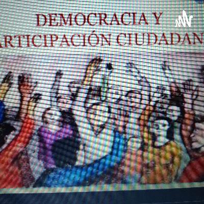 Participación ciudadana en la vida democrática