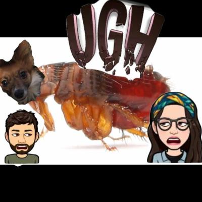 Episode - 016 Episode - 016