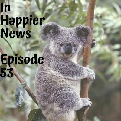 Help Koalas, Airport Therapy Pig, Holiday Movies to Binge and More Happier News in 10 Minutes or Less