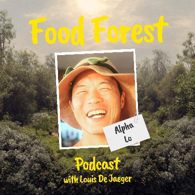 Food Forest Podcast: Alpha Lo β How to restore water cycles with food forests Food Forest Podcast: Alpha Lo β How to restore water cycles with food forests