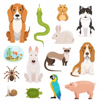 Domesticação das espécies zootécnicas