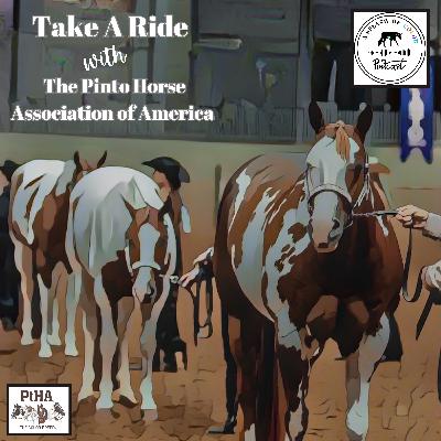 Episode 24: Take a Ride with the Pinto Horse Association of America Episode 24: Take a Ride with the Pinto Horse Association of America