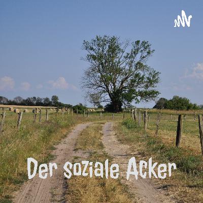 #9 MakeDemocracyGreatAgain | Soziale Arbeit zwischen Literatur und Politik