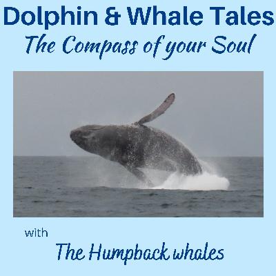 19  The Compass to your Soul with the Humpback Whales