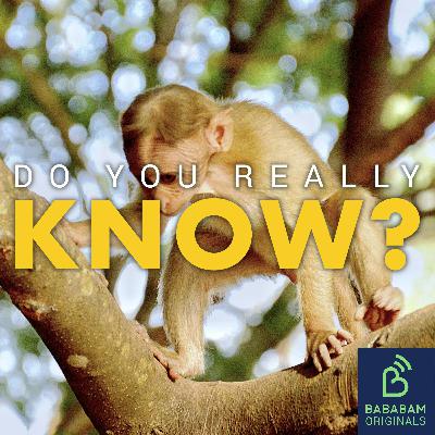 How can I recognise a flying monkey, the narcissistic abuser’s best friend?