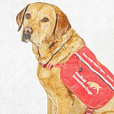 #5: Magical Medical Noses: dogs that detect cancer and more #5: Magical Medical Noses: dogs that detect cancer and more