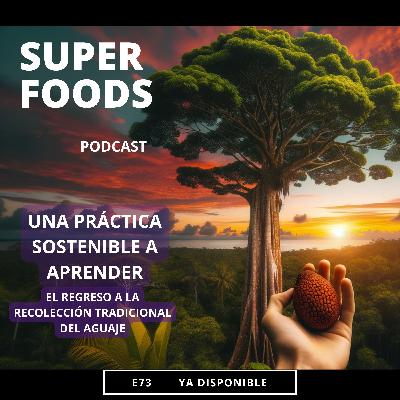 E73. El aguaje es una herramienta contra la deforestación