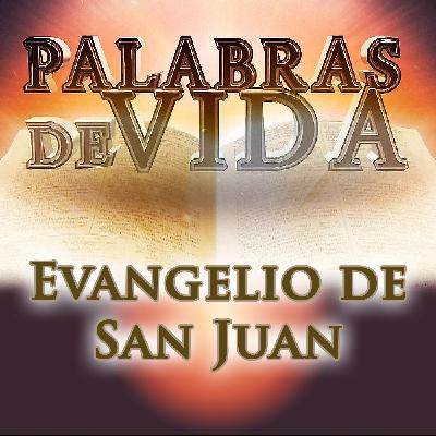La Misión Evangelizadora de la Iglesia (Parte 2/2) - Palabras de Vida