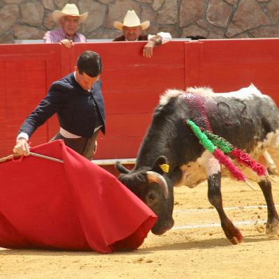 Muestra sus capacidades David Galván en Cinco Villas