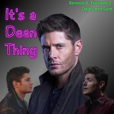 Dean and Sam: Season 5