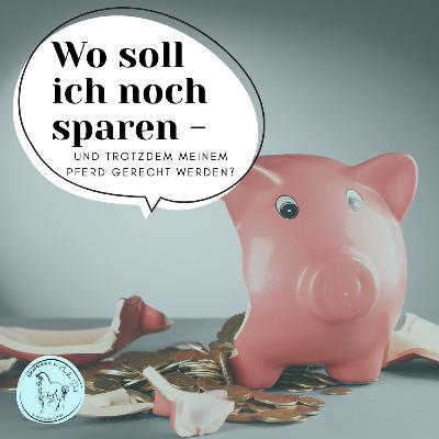 Folge 2 - Wo soll ich noch sparen und meinem Pferd trotzdem gerecht werden?