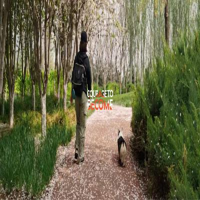 嘿，妈妈｜亲人一场，是一次或近或远的别离