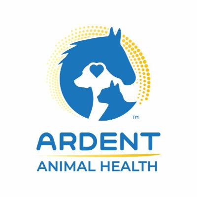Stem Cell Therapy In Your Practice