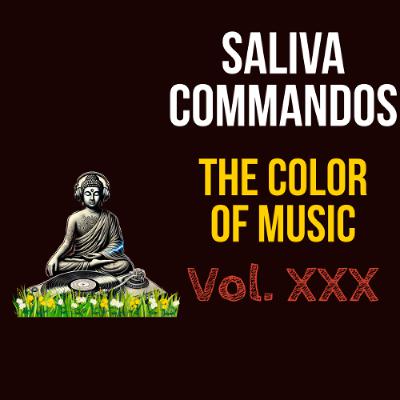 The Color Of Music Vol. XXX